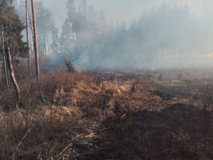 FOTO: Na Žďársku hořelo šest hektarů lesa. Požár zaměstnal 11 jednotek