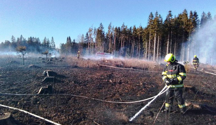 Na Žďársku hořelo šest hektarů lesa. Požár zaměstnal 11 jednotek