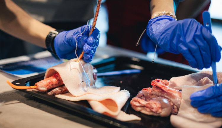 Proč záchranáři nakupují v řeznictví? Učí zachraňovat životy