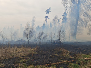 FOTO: Požár u Brzkova zaměstnává deset jednotek hasičů