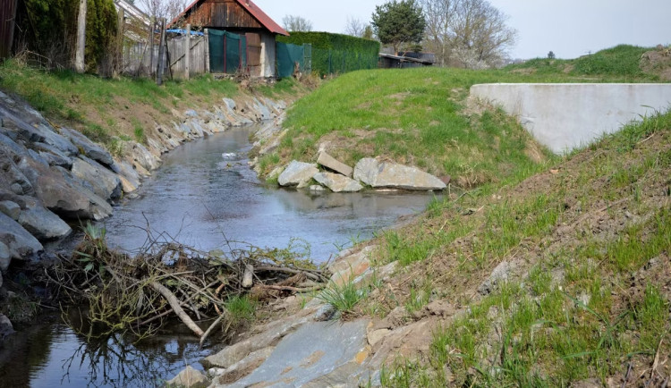 Bobři úřadují na Nemilance. Vodohospodáři v Olomouci hlídají náhlé úpravy říčky
