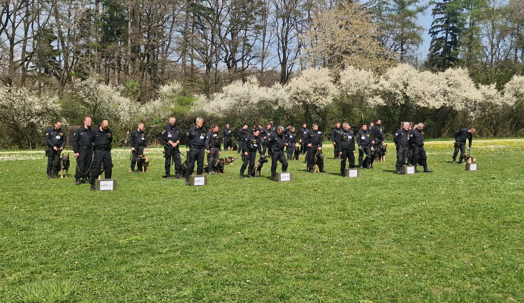 Přebor v Dobroticích: Psovodi z Moravskoslezského kraje jsou mezi nejlepšími
