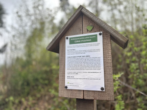 Den proti úložišti: V lokalitě Hrádek otvírali studánky. Vrtáka vyhnaly lesní víly