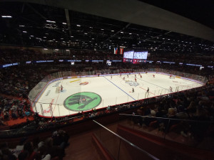 ON-LINE: Zápas hokejové reprezentace v Horácké aréně začal poplachem