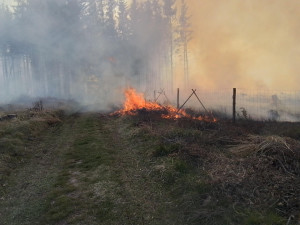 VIDEO: Rozsáhlý požár lesa na Žďársku. Podívejte se na práci hasičů i vrtulníku