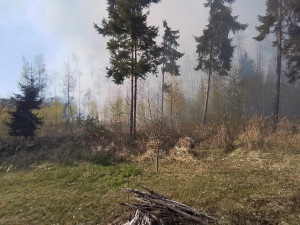 VIDEO: Rozsáhlý požár lesa na Žďársku. Podívejte se na práci hasičů i vrtulníku