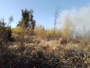 VIDEO: Rozsáhlý požár lesa na Žďársku. Podívejte se na práci hasičů i vrtulníku