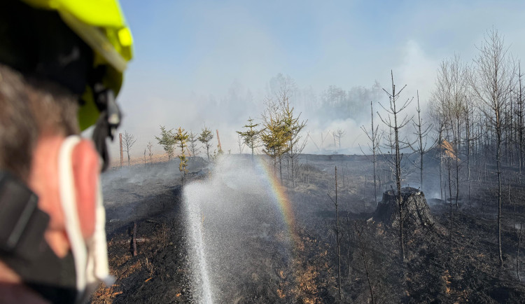 WhatsApp Image 2026-04-24 at 18.06.42