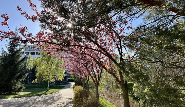 Slunce vydrží celý týden. O víkendu teploty překročí dvacítku