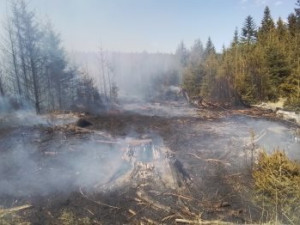 FOTO: Aktuálně u Třeště hoří les, hasí ho osm jednotek i vrtulník