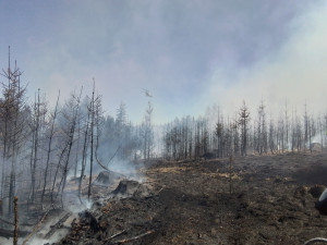 FOTO: Aktuálně u Třeště hoří les, hasí ho osm jednotek i vrtulník