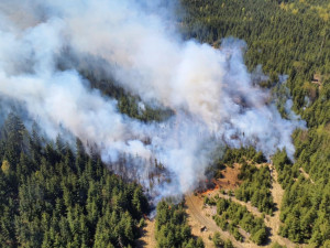 FOTO: Aktuálně u Třeště hoří les, hasí ho osm jednotek i vrtulník