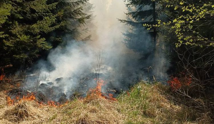 Sucho sužuje Česko, silný vítr komplikuje hasičům zásahy u požárů