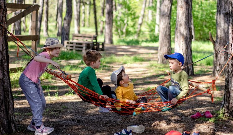 Ilustrační foto. Foto: pexels.com