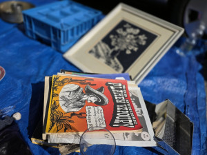FOTO, VIDEO: Kolovrátek, rodokapsy i vinyly. Bleší trh v Polné byl poprvé v centru