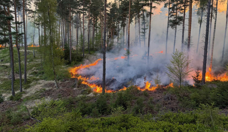 Na Českolipsku je zvýšené riziko vniku a šíření požárů. Výstraha meteorologů platí do odvolání