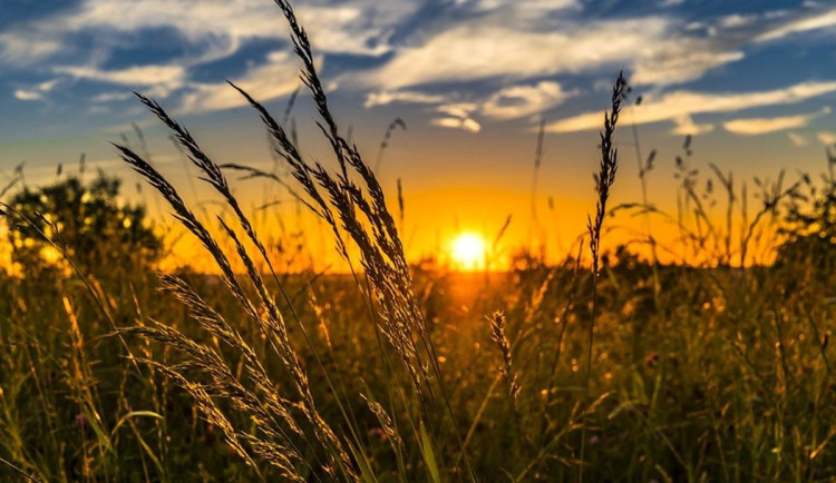 Ilustrační foto. Foto: pixabay.com