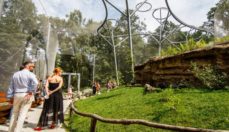 Zoo přijala opatření proti pseudomoru drůbeže, jde o vysoce nakažlivé onemocnění