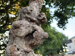 Ve Větrném Jeníkově bagrista vykopal hromadu železa. Může jít o historickou fontánu