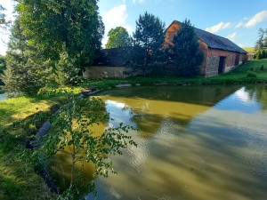 FOTO: Zelený rybník v Bradle bude minulostí, nahradí ho odpočinkové místo s lavičkami