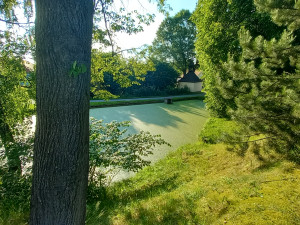 FOTO: Zelený rybník v Bradle bude minulostí, nahradí ho odpočinkové místo s lavičkami