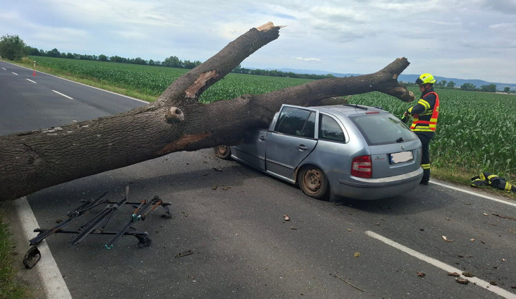 Fabii u Olomouce zvrakoval mohutný strom, řidiče odvezla záchranka
