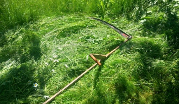 Ilustrační foto.