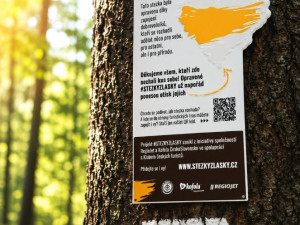 Dobrovolníci obnovili stezku na hrad Kámen. Přidali i čtyřicet ptačích budek