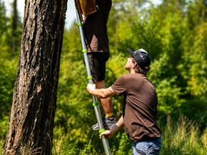 Dobrovolníci obnovili stezku na hrad Kámen. Přidali i čtyřicet ptačích budek