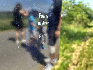 VIDEO: Na rozloučenou. Deváťáci v Dolní Cerekvi vybudovali unikátní Planetární stezku