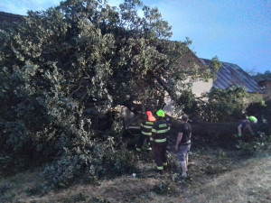 Vysočinu zasáhly další bouřky, padaly stromy. Domácnosti byly bez elektřiny