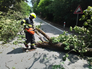 Další den, další bouřky. V Jihlavě spadl strom na auto, od poledne se hasiči nezastaví