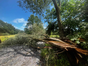 Další den, další bouřky. V Jihlavě spadl strom na auto, od poledne se hasiči nezastaví