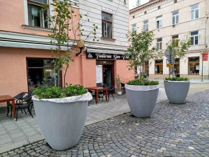 Problém s novou zelení v centru Jihlavy. Lidé vyhazují z květináčů kamenný mulč