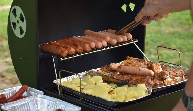 PŘEHLED: Vedro přeje salmonelám. Hygienici na Vysočině připomínají základní pravidla