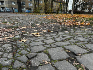 Aktuální stav parku