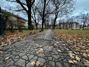 Aktuální stav parku