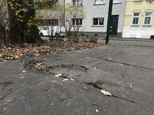 Aktuální stav parku