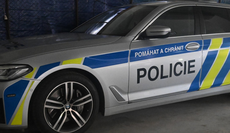 Býci na útěku ohrožovali řidiče na frekventované silnici mezi Jihlavou a Znojmem