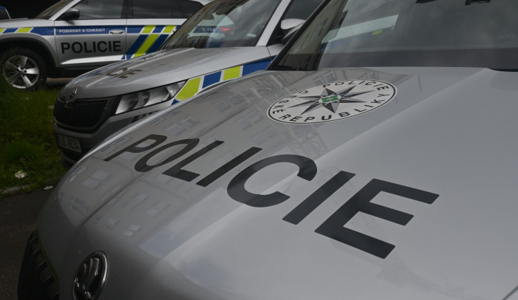 Cizinka tiše sténala na čerpací stanici u dálnice. Pomohli jí policisté z Beranova