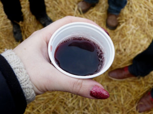 V Měříně se před zraky tří tisícovek lidí narodil Ježíšek