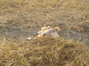 V Měříně se před zraky tří tisícovek lidí narodil Ježíšek