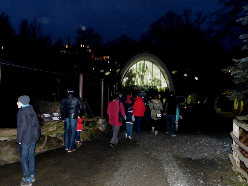 Večerní povánoční prohlídka jihlavské zoo