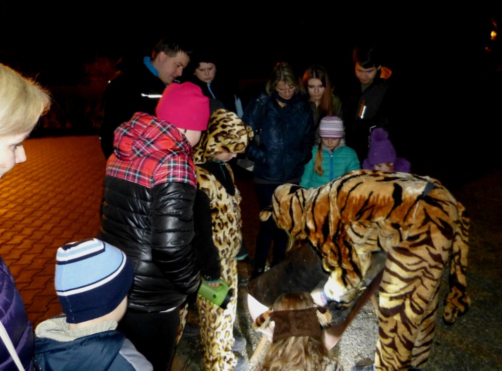Večerní povánoční prohlídka jihlavské zoo