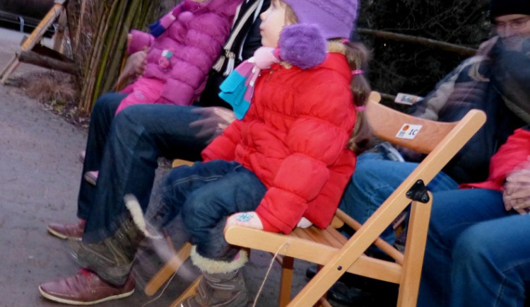 Večerní povánoční prohlídka jihlavské zoo