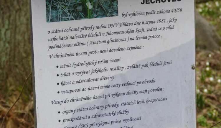 Bledule u Staré Říše