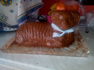 Autorka: Petra Václavková