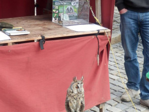 Den Země na jihlavském náměstí