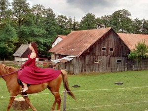 Koněhrádky v Rohozné