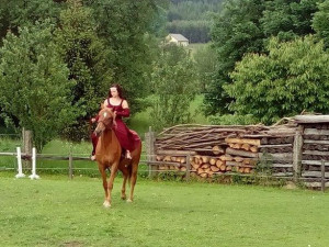 Koněhrádky v Rohozné